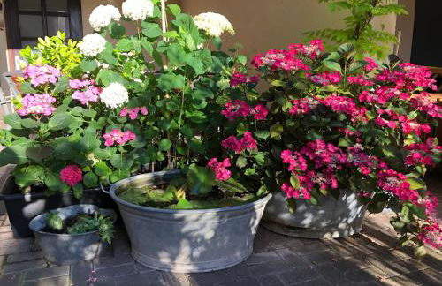 Ferienwohnungen In de goldisch Luft - Foto 6