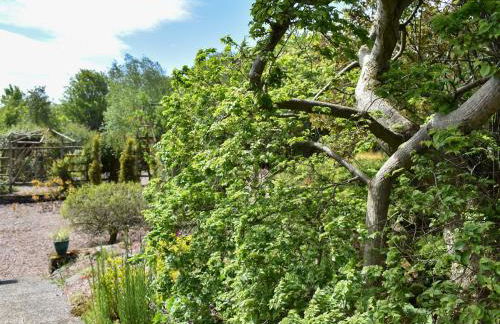 Middle Lodge - Photo 21