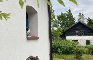 Domek nad jeziorem z prywatnym pomostem, Mazury, Domek Fruzia - Foto 43