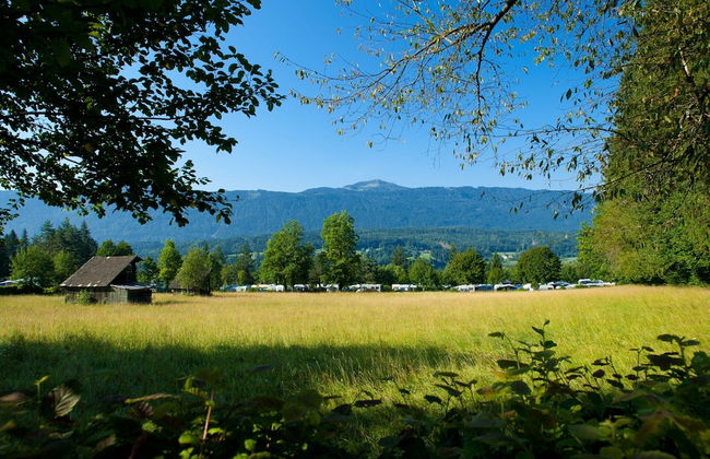 Nice Chalet in Pressegger See With Terrace - Foto 21