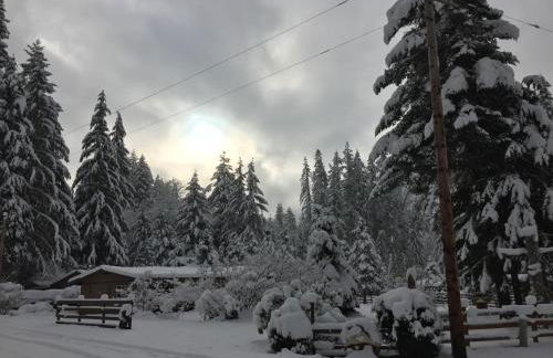 Bear’s Den Hideaway with Hot Tub - Foto 39