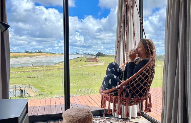 Fazenda de Morangos - Foto 2