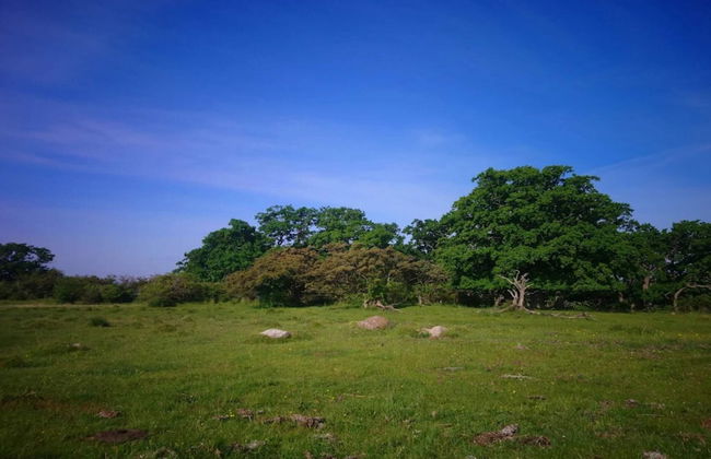 6 Person Holiday Home in Kettinge - Foto 21