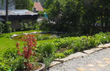 Schöne gemütliche Ferienwohnung mit Kamin II im Harz - Foto 19