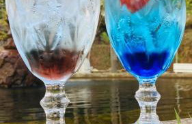 Pousada Suçuarana - Photo 52