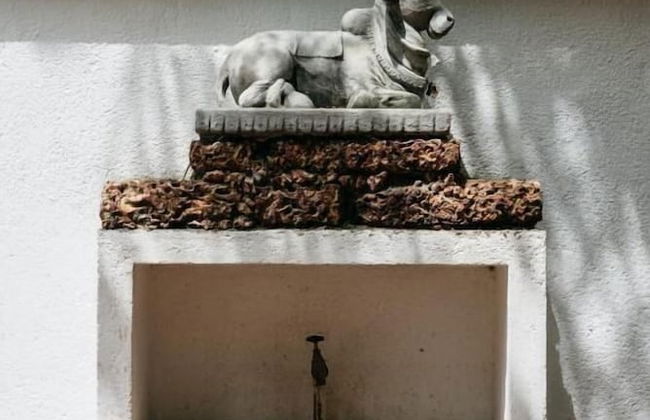 Boutique 87 - Photo 33