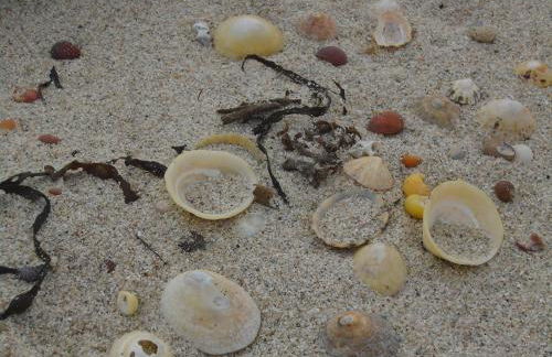 La petite bretonne de Tréompan - Foto 22