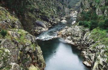 CRASTO PAYVA DOURO NATURE - Foto 59