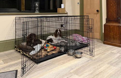 Lane End Cottage - Kirkby Lonsdale - Foto 39