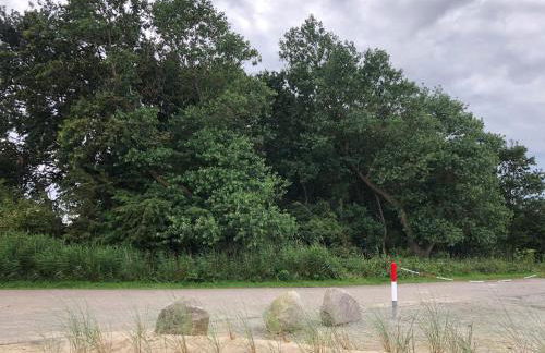 Nordlichter Fehmarn - Foto 64