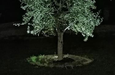 A casa di Matisse - appartamento vacanze - Foto 25