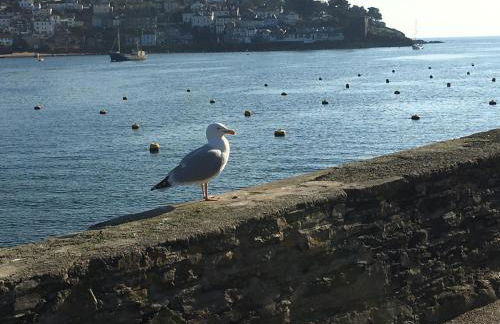 Bay View, Millendreth Looe Cornwall - Foto 14