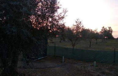 Lodge Rabasquinha - Foto 41