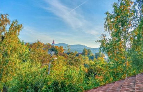 6 Bedroom Amazing Home In Mucharz - Foto 9
