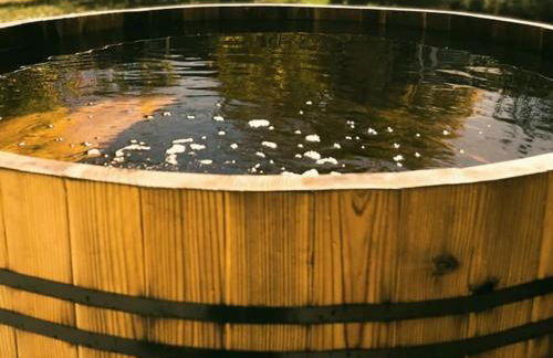 House of The Rising Sun - Foto 15