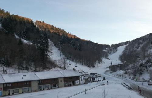 petit nid montagnard - Foto 9