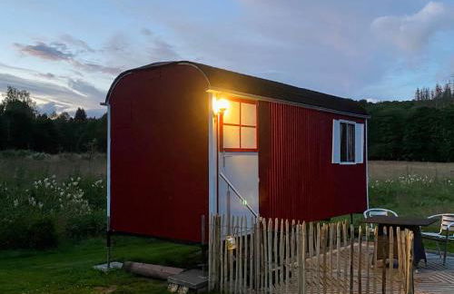 Alte Mühle Börfink - Foto 21