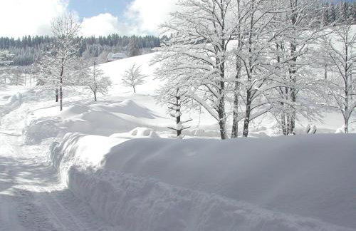 Biobetrieb Lippenhof - Photo 28