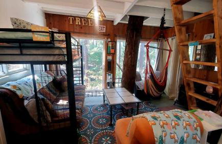 Magical Tree House Rental Nestled in the Woods on Farm Retreat near St. Louis, Missouri - Foto 10