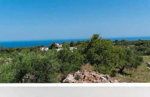 Bella Vista Casa - Foto 11