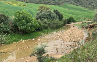Cortijo el Alcornocal - Foto 51