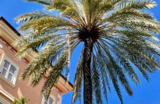 Casa Celestine in Via Orsini Isolabona Liguria Italy Sleeps 5 - Foto 23