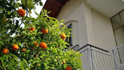 Loano Casa Archè villa indipendente con giardino - Foto 2