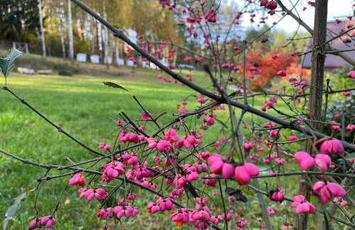 Drewniany Domek w Zakątku Andrzeje Śniczany 18 - Photo 51