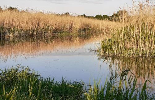 Beautiful holiday home in Masuria on river and lake - Foto 48