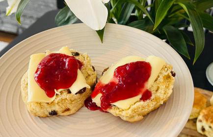 Cozy Organic Tea House in Central Ipswich near Waterfront, University and Hospital - Foto 54