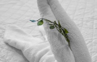 Modern 1 Bedroom In The Heart Of Downtown Doral - Foto 16