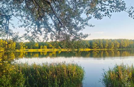 Zielony apartament z widokiem na jezioro - Foto 23