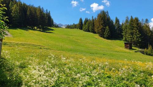 Ary Holiday Home Ski , Bike & Walk - Foto 5