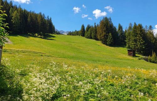 Ary Holiday Home Ski , Bike & Walk - Foto 5
