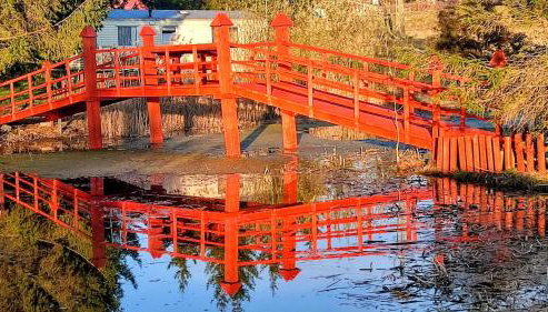 #MazuryWildLife - Foto 3