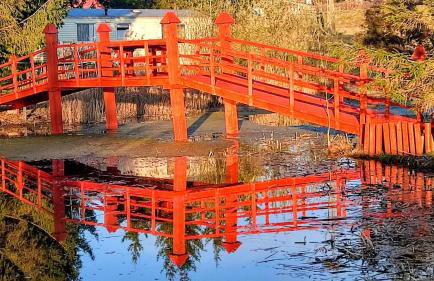 #MazuryWildLife - Foto 3