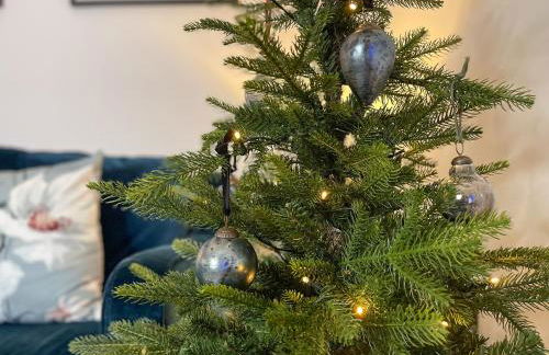 Forest Acorn - Foto 20