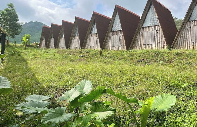 Nguyen Shack Retreat - Foto 12