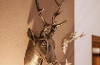 Ferienhaus Thale - Foto 14