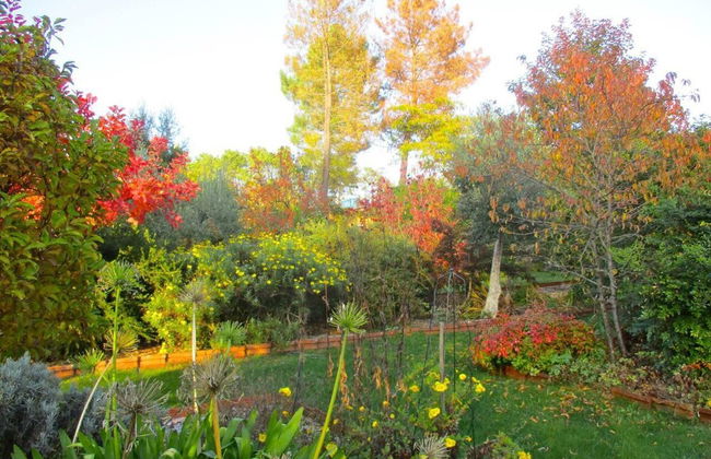 Charming Garden Retreat in Pedrogao Grande - Foto 22