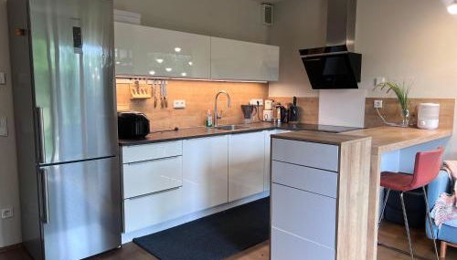 Bright new studio 43m2 with a beautiful garden - Photo 1