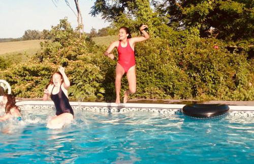 Shenandoah Holiday Chalet Fireplaces & Game Barn - Foto 3