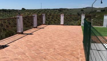 La sombra del lagarto - Foto 5