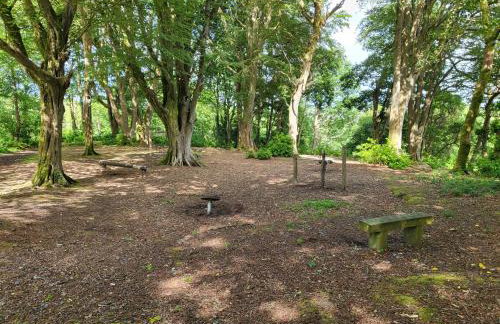 Bumbeldink - Foto 10