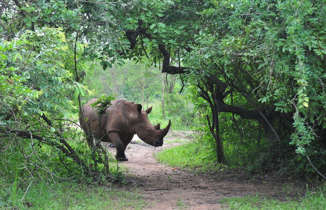 Victoria Lake View Guest House & Safaris - Photo 29