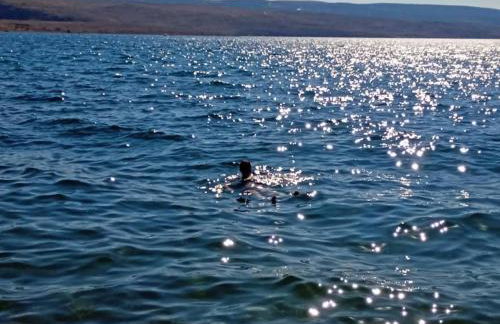 Apartman Milanko - Foto 38