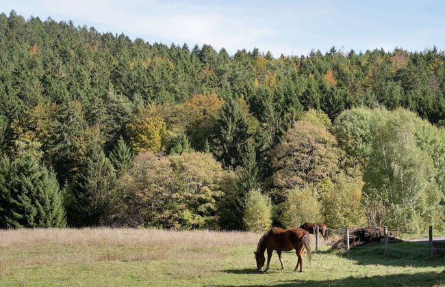 Apartment for 2 Adults & 2 Children near Ski Resort in Black Forest - Foto 32
