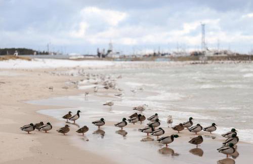 Apartament Komandorski przy Aquaparku - Foto 35