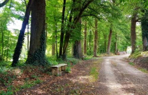 Ze GOOD HOUSE Manoir Percheron jusqu'à 26 pers - Foto 22