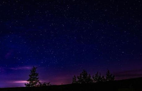 Holzhaus Devils Corner - Foto 28